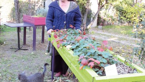 À Marseille, Sophie Barbaux a adapté les tables de culture du Happy Garden, qui comptent de la 'Mara des bois' et des aromatiques, aux jeunes enfants comme aux personnes âgées.