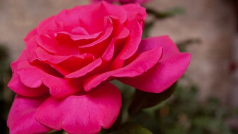 PHOTO : CLÉMENCE RODDE