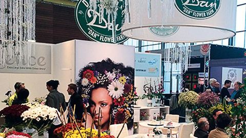 L'International Floriculture Trade Fair se tiendra à l'Expo Haarlemmermeer, à Vijfhuizen, du 4 au 6 novembre.PHOTO : IFTF