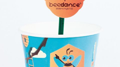 Les Bidens Beedance® seront identifiables à leur pot de culture, la marque nominale, l'étiquette à planter avec son logo et le nom.PHOTO : MOERHEIM NEW PLANT B.V.