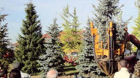 PHOTO : PÉPINIÈRES CHATELAIN