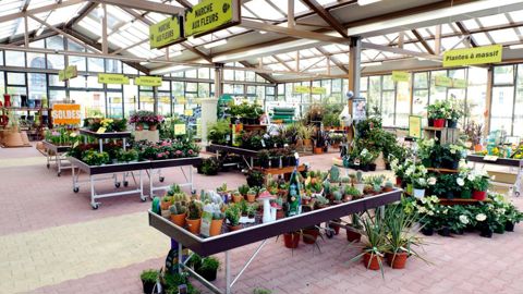 Plus de lumière, une signalétique renforcée et une circulation plus aisée valorisent les offres et les produits disponibles dans le magasin.