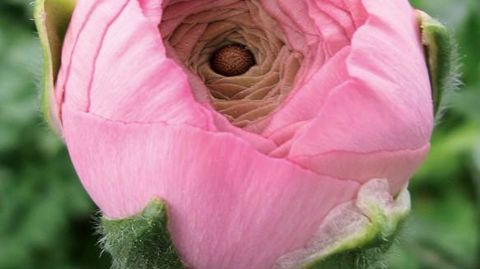 PHOTO : VALÉRIE VIDRIL