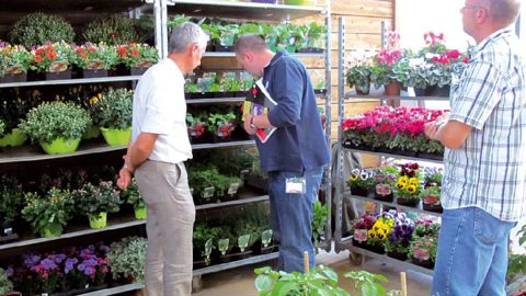 Contrairement à l'édition 2010 qui s'était tenue dans une salle dédiée, au sein du parc Terra Botanica, le showroom se tiendra cette année sous un barnum.