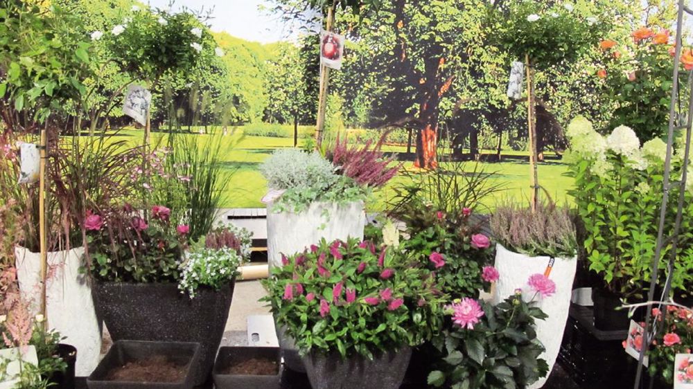 Les tendanceurs du « théâtre du jardin » de Plantarium mettent les végétaux en valeur dans des pots et compositions ou en pleine terre.