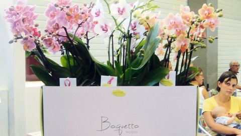 Boquetto est le premier bouquet de miniorchidées. Concept innovant aux couleurs pastel, il a été primé aux Florall awards 2013, à Gand.