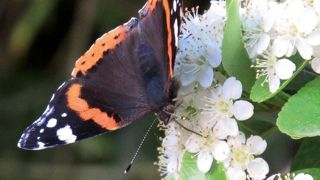 PHOTO : VALÉRIE VIDRIL PHOTO : VALÉRIE VIDRIL