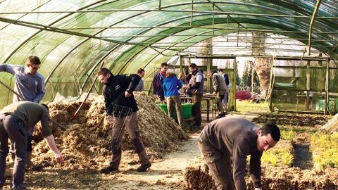 Les élèves de BTS « aménagements paysagers » préparent les modules des futurs murs végétalisés dans la serre du lycée du groupe Antoine-de-Saint-Exupéry, à Rennes (35).PHOTO : JARDIN UNIQUE