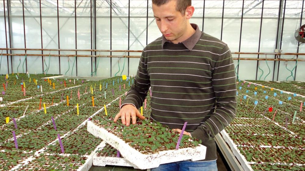Fier de son métier, Guillaume Eyraud affirme : « J'ai choisi un domaine particulier, le jeune plant, qui exige, à mon avis, un niveau technique supérieur à ce qui est déjà nécessaire dans la production de potées. » Fier de son métier, Guillaume Eyraud affirme : « J'ai choisi un domaine particulier, le jeune plant, qui exige, à mon avis, un niveau technique supérieur à ce qui est déjà nécessaire dans la production de potées. »