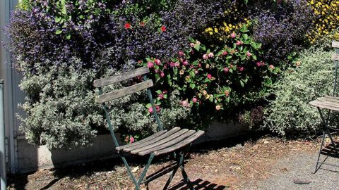 Multiforme, l'agriculture urbaine s'étend des initiatives sur les balcons des particuliers aux jardins communautaires participatifs, en passant par les serres horticoles high-tech sur les toits.