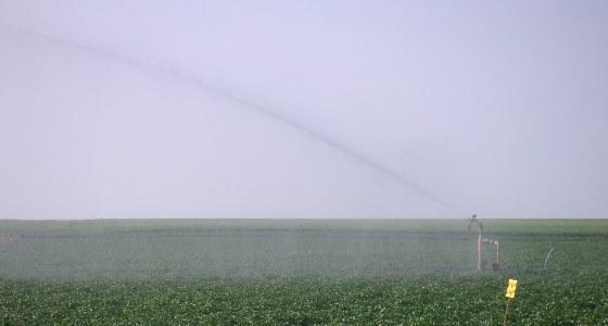 Les nappes phréatiques présentent toujours un déficit notable