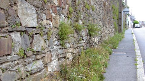 Le programme de recherche Acceptaflore, mené par Plante & Cité, vise à connaître la manière dont les différentes catégories de population perçoivent la flore spontanée, résultat de l'abandon progressif du désherbage chimique en ville.