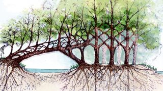 PHOTO : THOMAS MARTIN PHOTO : THOMAS MARTIN