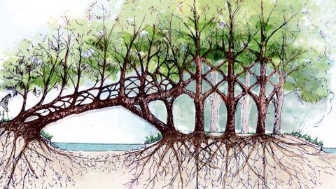 PHOTO : THOMAS MARTIN