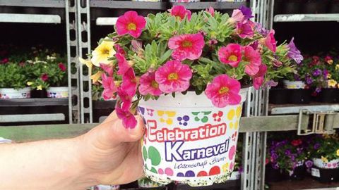 Modiform aide les professionnels à personnaliser leurs pots et leurs plaques, grâce à des impressions de motifs à façon ou via des choix de couleurs.