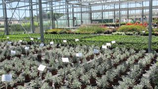 Les moyens alloués à la recherche et à l'innovation seront renforcés, en particulier sur le développement d'alternatives à l'utilisation des produits phytopharmaceutiques et sur les impacts liés à l'utilisation de ces produits. Les moyens alloués à la recherche et à l'innovation seront renforcés, en particulier sur le développement d'alternatives à l'utilisation des produits phytopharmaceutiques et sur les impacts liés à l'utilisation de ces produits.