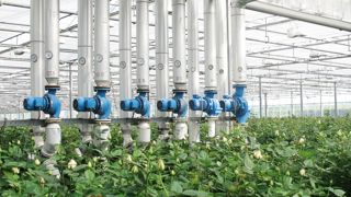 Les C2E peuvent participer au financement de l'efficacité énergétique dans les entreprises horticoles.PHOTO : PASCAL FAYOLLE Les C2E peuvent participer au financement de l'efficacité énergétique dans les entreprises horticoles.PHOTO : PASCAL FAYOLLE