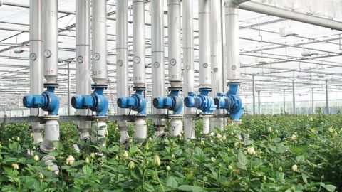 Les C2E peuvent participer au financement de l'efficacité énergétique dans les entreprises horticoles.PHOTO : PASCAL FAYOLLE