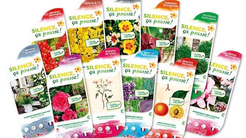 PHOTO : SILENCE, ÇA POUSSE