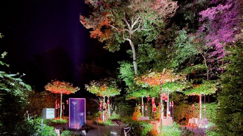 PHOTO : ÉRIC SANDER JARDINS 2011