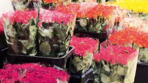 Les consommateurs valorisent réellement les produits présentant des attributs environnementaux. Ils accordent une plus grande importance à ceux qui ont un impact global (empreinte carbone) qu'à ceux dont l'attribut environnemental est plus localisé (éco-label).