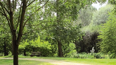 La conférence s'adresse à tous les acteurs de la filière ZNA : directeurs de jardins et espaces verts, greenkeepers, entrepreneurs du paysage, forestiers, jardiniers professionnels et amateurs...