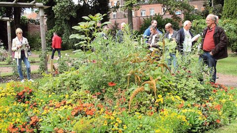 Malgré un printemps exécrable et des trombes d'eau les jours précédant la visite, les professionnels ont pu observer le comportement estival des plantes à massif, présentées au coeur du Jardin botanique de Tourcoing.