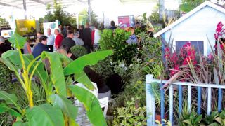 Le salon régional Aquiflor présente à la fois des plantes d'intérieur, sous hall couvert, et des plantes de pépinière, offre complétée par des équipements et machines, en extérieur.PHOTO : FRANCIS GINESTET