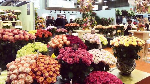 Cette année, le salon néerlandais a accueilli 1 000 visiteurs de plus qu'en 2014.PHOTO : FHTF