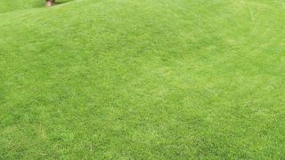 PHOTO : VALÉRIE VIDRIL