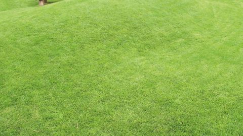 PHOTO : VALÉRIE VIDRIL