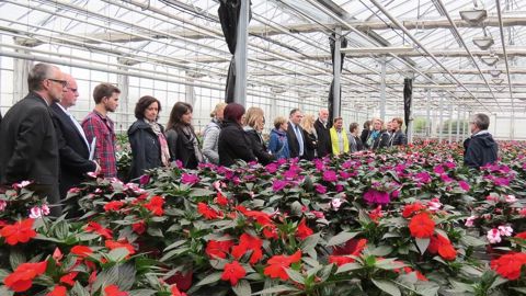 Les délégations ont visité l'exploitation horticole du lycée Le Fresne. Cette entité mène plusieurs projets en cultures bio spécifiquement pour le marché allemand.ODILE MAILLARD