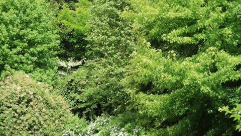 Le Domaine de Berville, en Seine-et-Marne, a obtenu cette année la première place du Prix Bonpland, qui récompense chaque année les plus beaux jardins d'agrément en France.PHOTO : FRÉDÉRIC PERNEL