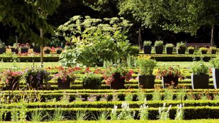 PHOTO : VILLE DE NANCY