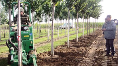 L'arrachage mécanisé facilite le travail en pépinière et permet d'optimiser le travail de contreplantation réalisé sur une surface de 5 hectares chaque année.