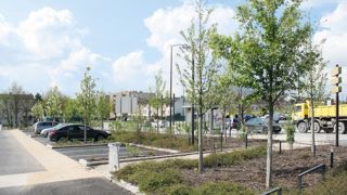 Dans de nombreuses régions, de multiples jeunes plantations ont souffert des conditions météorologiques de cet été 2015. Dans de nombreuses régions, de multiples jeunes plantations ont souffert des conditions météorologiques de cet été 2015.