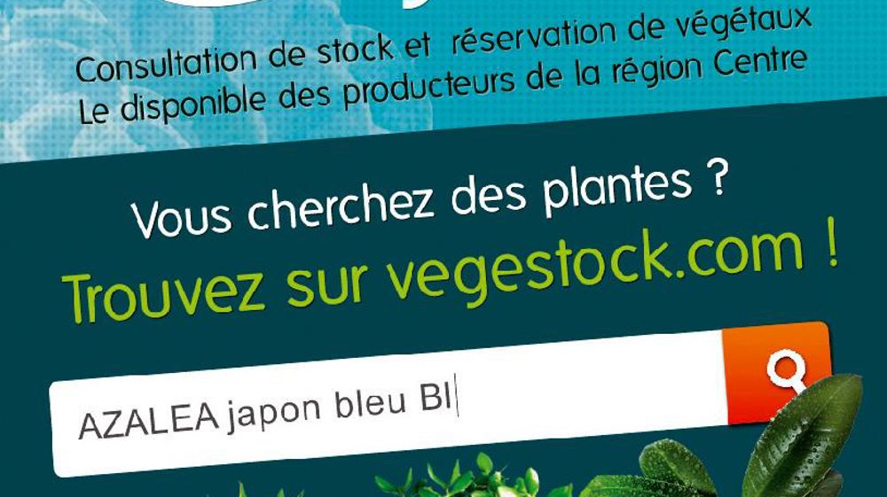 Les vingt et un producteurs de la région Centre réunis au sein de Végéstock proposent un site épuré où la recherche de végétaux se fait par variété et où le visiteur connaît immédiatement le nombre de produits disponibles. Les vingt et un producteurs de la région Centre réunis au sein de Végéstock proposent un site épuré où la recherche de végétaux se fait par variété et où le visiteur connaît immédiatement le nombre de produits disponibles.