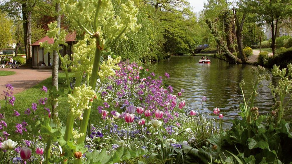 Le prochain rendez-vous technique du fleurissement en Région Centre aura lieu à Chartres, ville 4 fleurs, Fleur d'Or cette année. L'occasion d'éplucher l'épineux dossier du coût du fleurissement...PHOTO : VILLE DE CHARTRES Le prochain rendez-vous technique du fleurissement en Région Centre aura lieu à Chartres, ville 4 fleurs, Fleur d'Or cette année. L'occasion d'éplucher l'épineux dossier du coût du fleurissement...PHOTO : VILLE DE CHARTRES