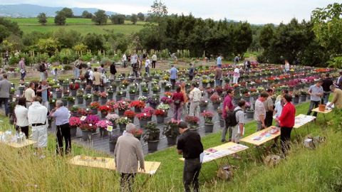 PHOTO : ODILE MAILLARD