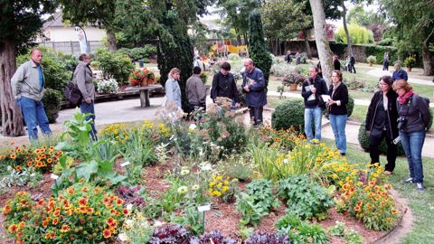 Malgré un printemps et un été chaotiques, le parc de la Motte, à Rambouillet (78), a permis de découvrir un fleurissement à base de vivaces organisées par couleur.