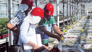 Les assurances multirisques agricoles (MRA) couvrent, en principe, les risques d'incendie, de foudre, de tempête, de grêle, de neige, de dégâts des eaux, de vol...PHOTO : GARTENBAU VERSICHERUNG