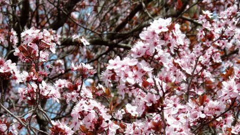 PHOTO : ODILE MAILLARD