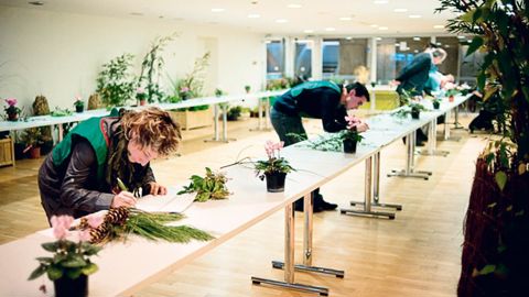 Le concours national de reconnaissance des végétaux a notamment pour but de soutenir le développement « d'une véritable culture botanique chez les futurs professionnels ».PHOTOS : ROMAIN ÉTIENNE (CI-DESSUS) ET ODILE MAILLARD (CI-CONTRE)