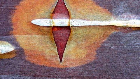 PHOTO : CÉDRIC POLLET