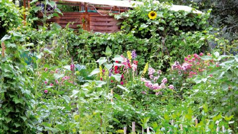Avec leur beau foisonnement, les jardins de curé retrouvent les faveurs du public.