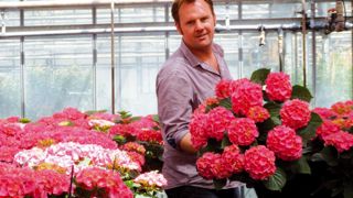 « Le travail sur les fiches de poste a permis de redéfinir des priorités, de faciliter le management, de voir où étaient nos besoins réels en personnels, de voir où il fallait investir... », constate Cyrille Geel , horticulteur-grossiste, à Pernes-les-Fontaines (84).