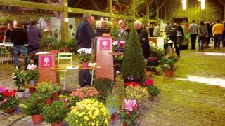 PHOTO : HORTI PÉPI PHOTO : HORTI PÉPI