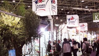 La mission de la FNPHP et de Val'hor est accomplie. La production française était valorisée à Paysalia, dans une ambiance générale positive. Chaque exposant a bénéficié de l'effet collectif d'un stand visible et attractif.