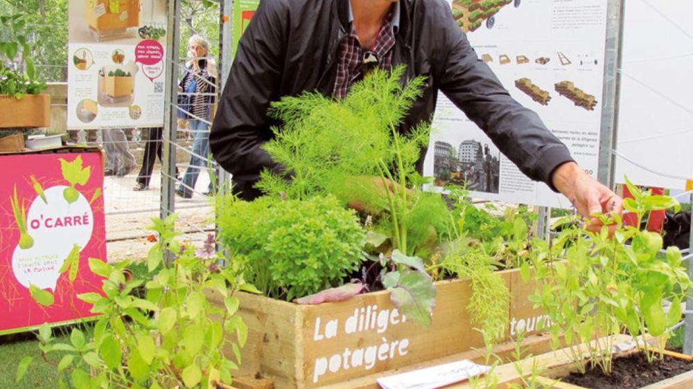 Luc Meinrad, paysagiste à Illhaeusern ( Alsace), a participé au concours de l'innovation. Son prototype de « Diligence potagère », - révélateur de tendances -, livre des aromatiques et potagères et (re)crée un lien direct entre le producteur et le consommateur. Luc Meinrad, paysagiste à Illhaeusern ( Alsace), a participé au concours de l'innovation. Son prototype de « Diligence potagère », - révélateur de tendances -, livre des aromatiques et potagères et (re)crée un lien direct entre le producteur et le consommateur.
