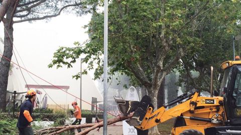 Chaque intervention, comme ici l'élagage d'arbres, nécessite d'évaluer les risques encourus et de respecter les réglementations.